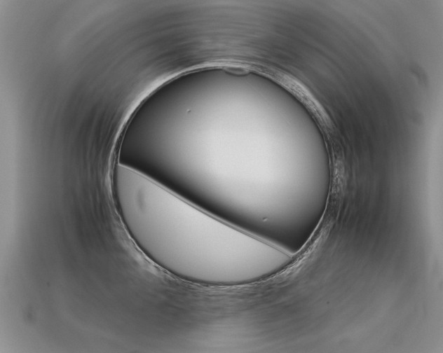 X0000113310908200909141003