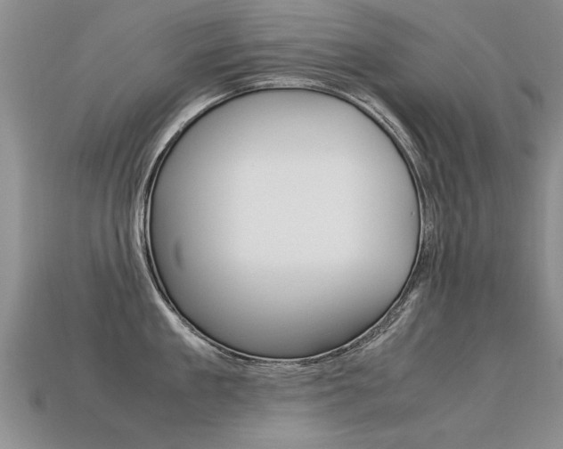 X0000113310909200909141003