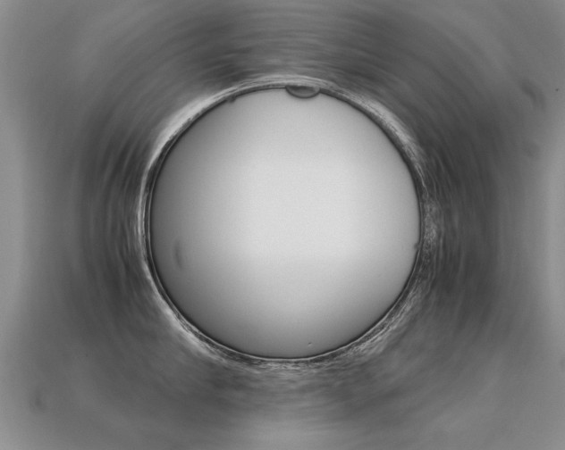 X0000113310910200909141003