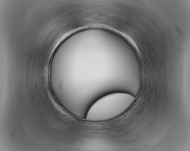 X0000113310911200909141003
