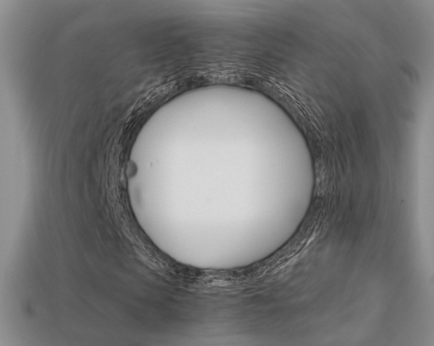 X0000113310913200909141003