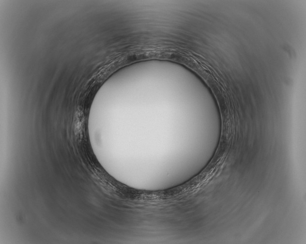 X0000113310914200909141003