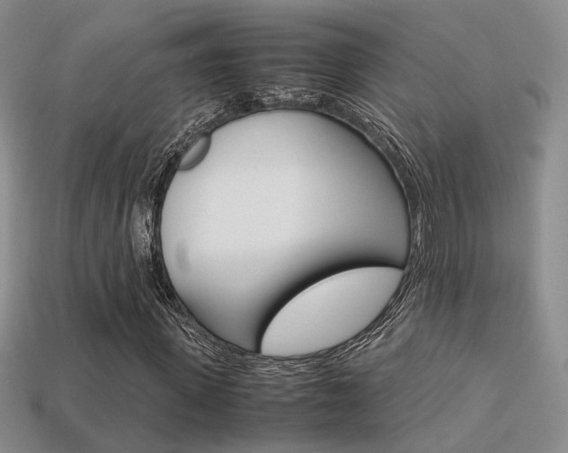 X0000113310915200909141003