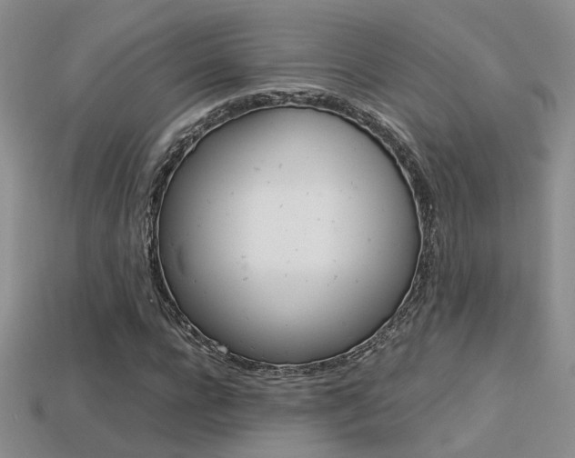 X0000113310920200909141003
