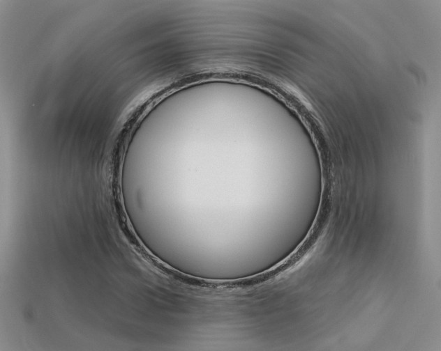 X0000113310922200909141003