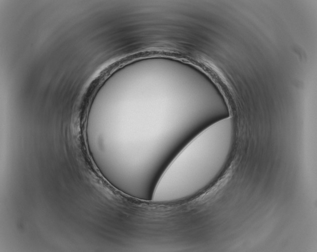 X0000113310923200909141003