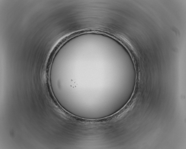 X0000113310924200909141003