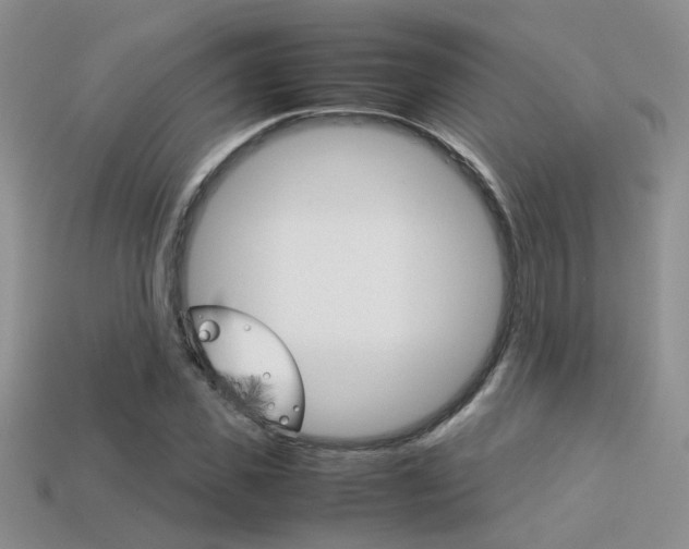 X0000113310925200909141003