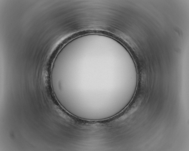 X0000113310926200909141003