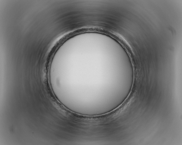 X0000113310927200909141003
