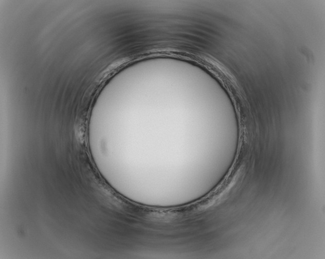 X0000113310929200909141003