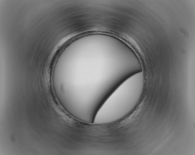 X0000113310931200909141003