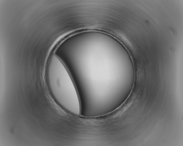 X0000113310932200909141003