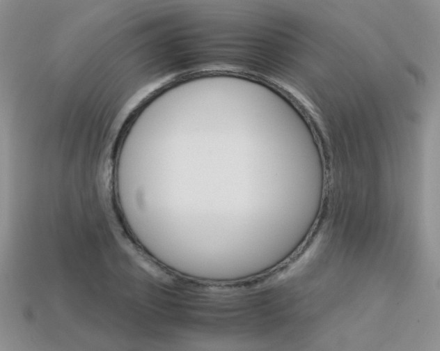 X0000113310933200909141003