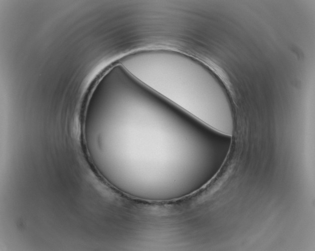 X0000113310936200909141003