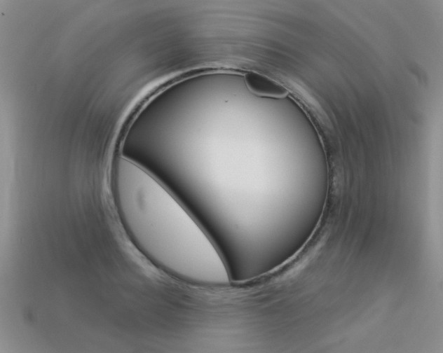 X0000113310940200909141003