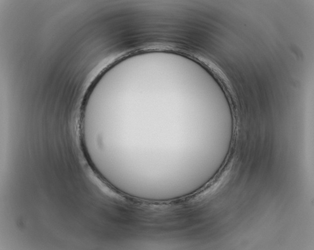 X0000113310941200909141003