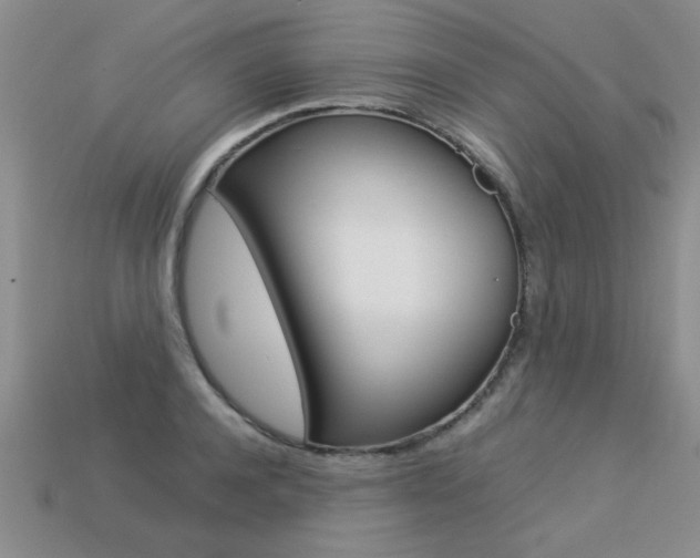X0000113310944200909141003