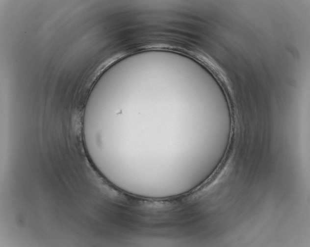 X0000113310945200909141003