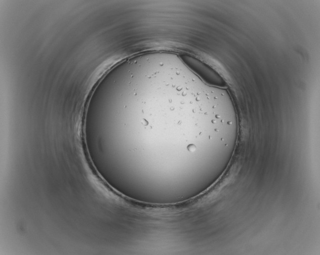 X0000113310946200909141003