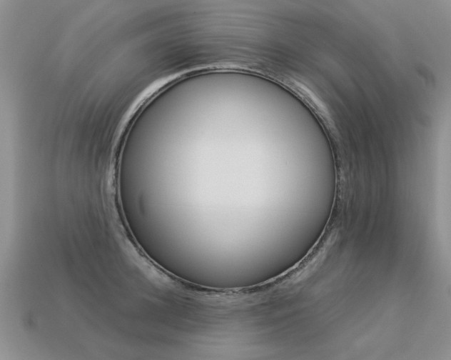 X0000113310948200909141003