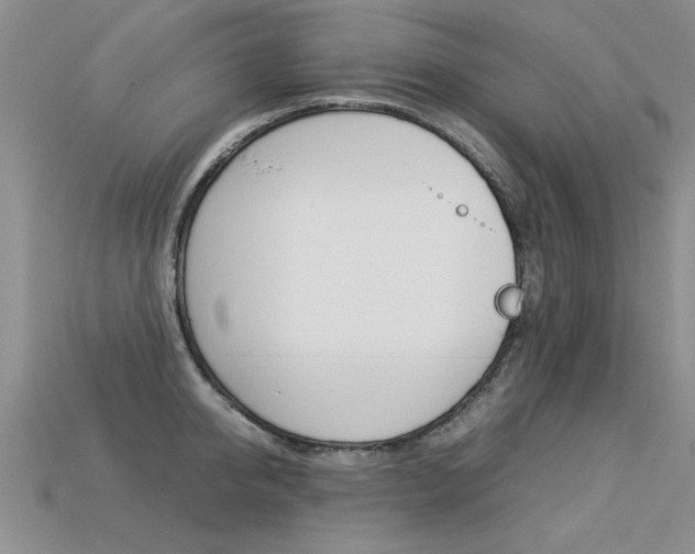 X0000113310950200909141003