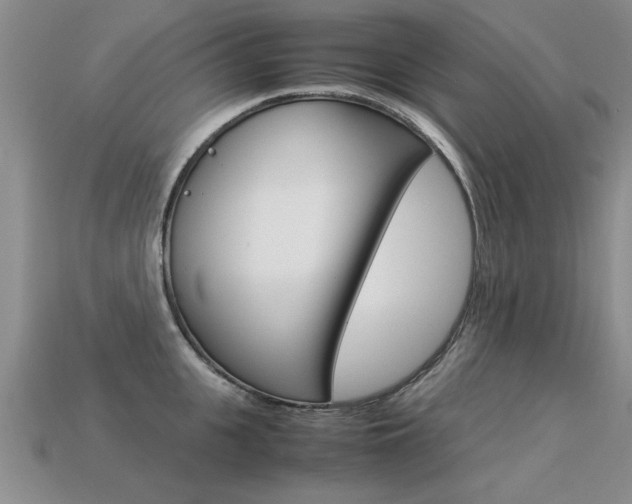 X0000113310951200909141003