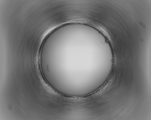 X0000113310952200909141003
