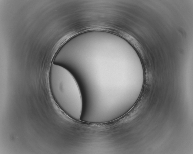 X0000113310954200909141003