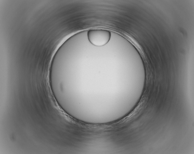 X0000113310956200909141003