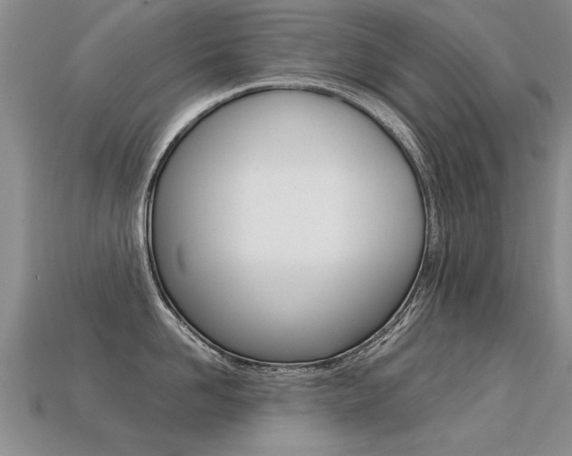 X0000113310958200909141003