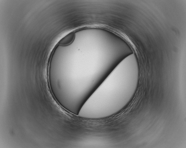 X0000113310959200909141003