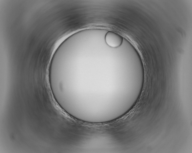X0000113310960200909141003