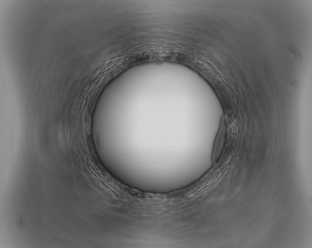 X0000113310961200909141003