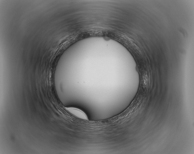 X0000113310964200909141003