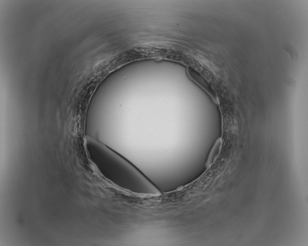 X0000113310965200909141003