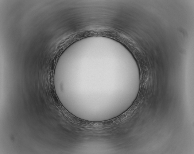 X0000113310966200909141003