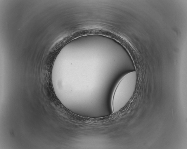 X0000113310967200909141003
