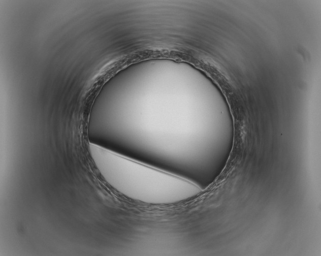 X0000113310968200909141003
