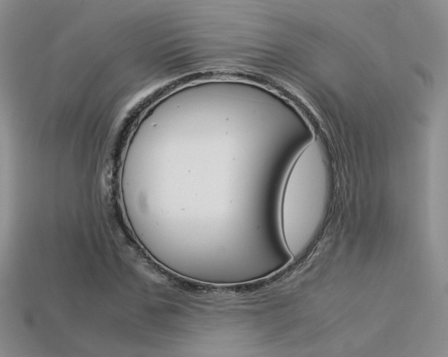 X0000113310971200909141003