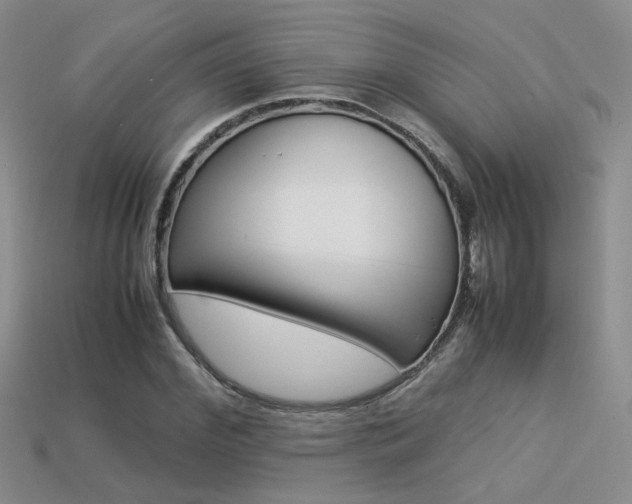 X0000113310972200909141003
