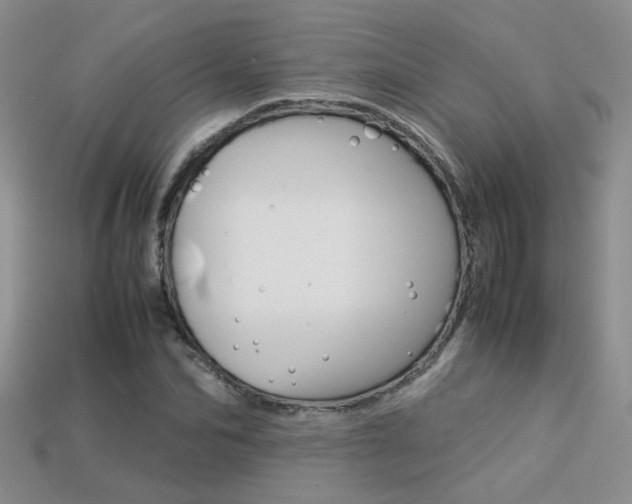 X0000113310974200909141003