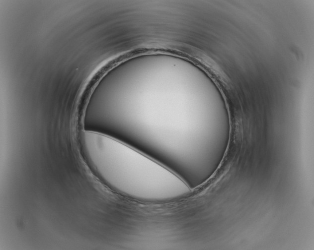 X0000113310976200909141003
