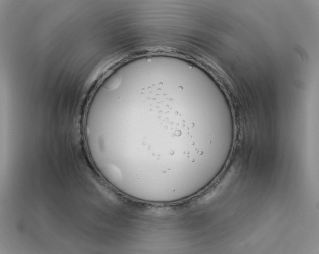 X0000113310978200909141003