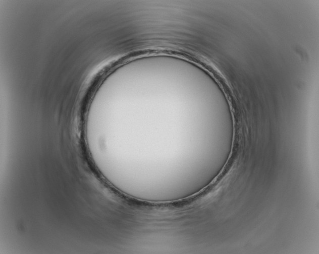 X0000113310979200909141003