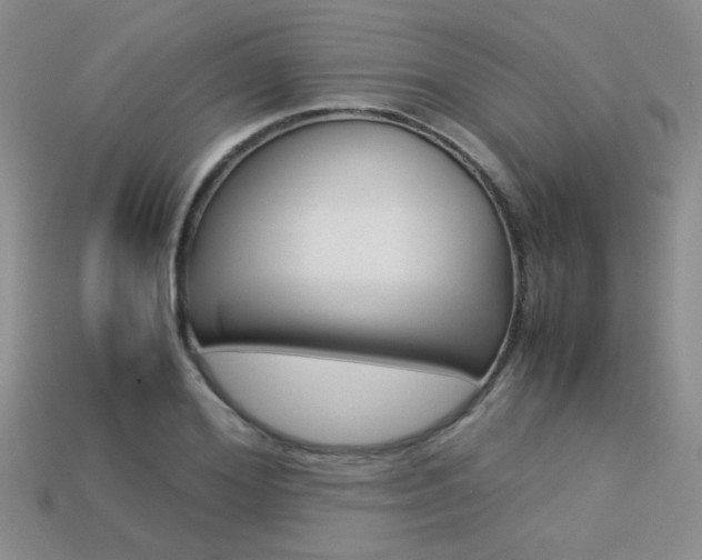 X0000113310980200909141002