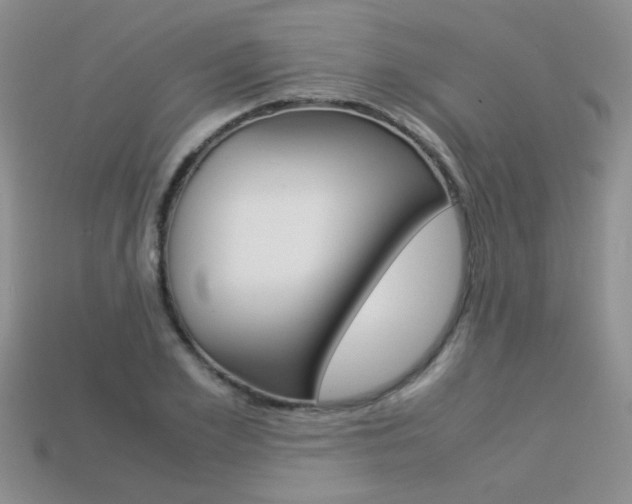 X0000113310981200909141002