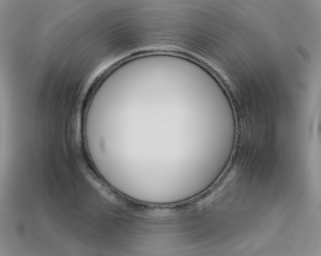 X0000113310982200909141002