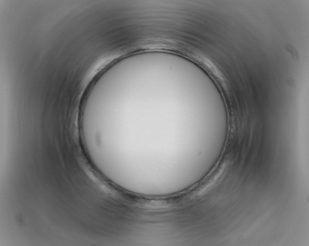 X0000113310986200909141002