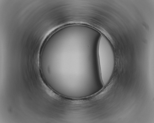 X0000113310988200909141002